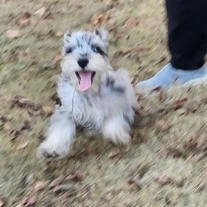 Meet your Posher, Erick